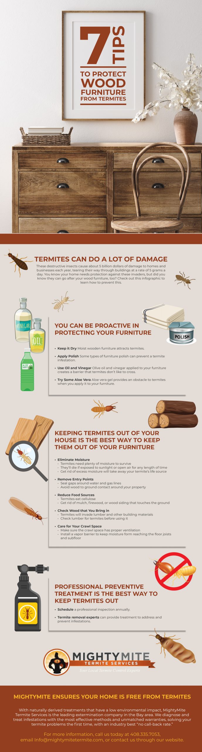 How To Prevent Termite Damage