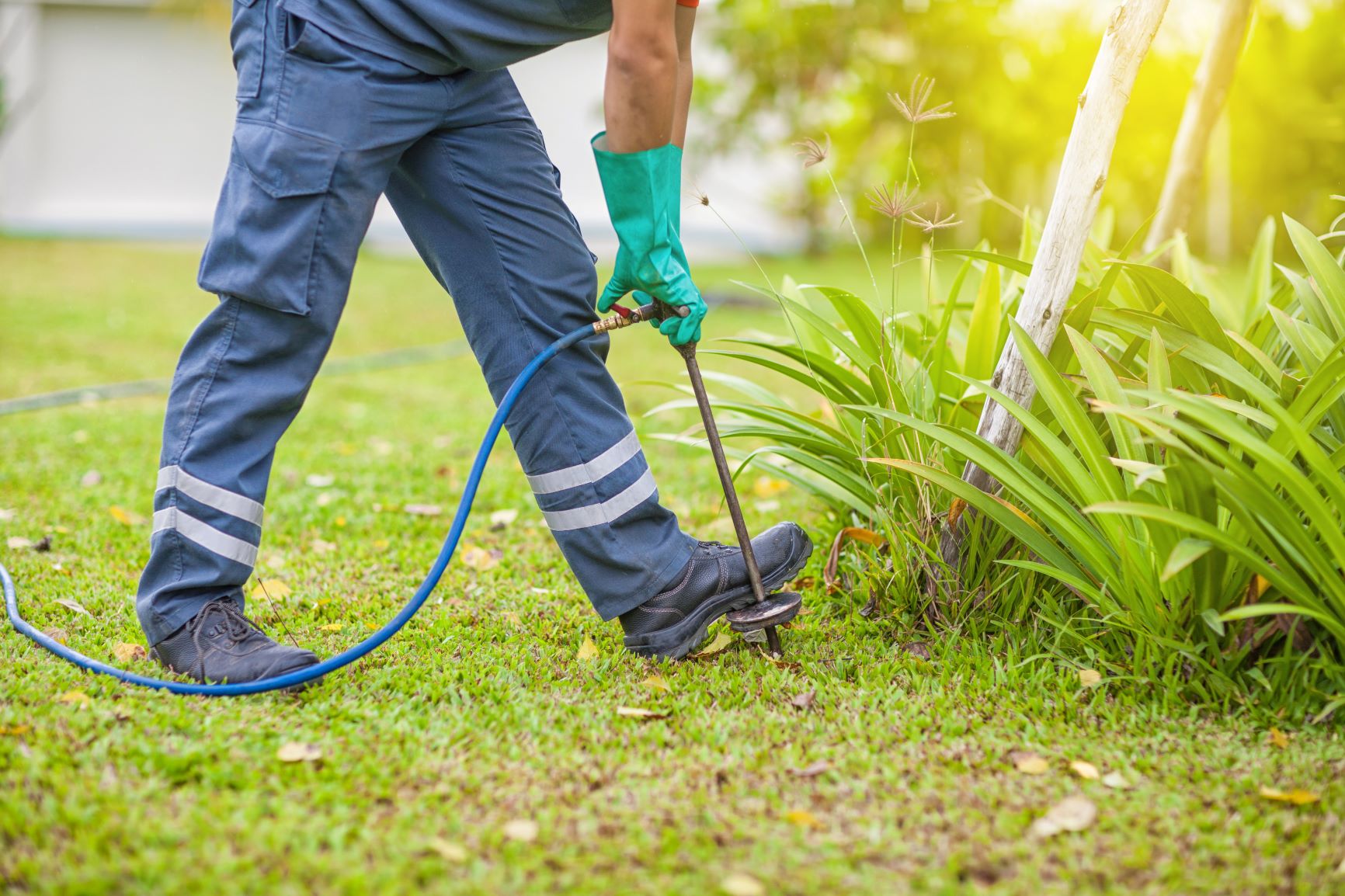 Why Termite Control is Crucial in the Summer