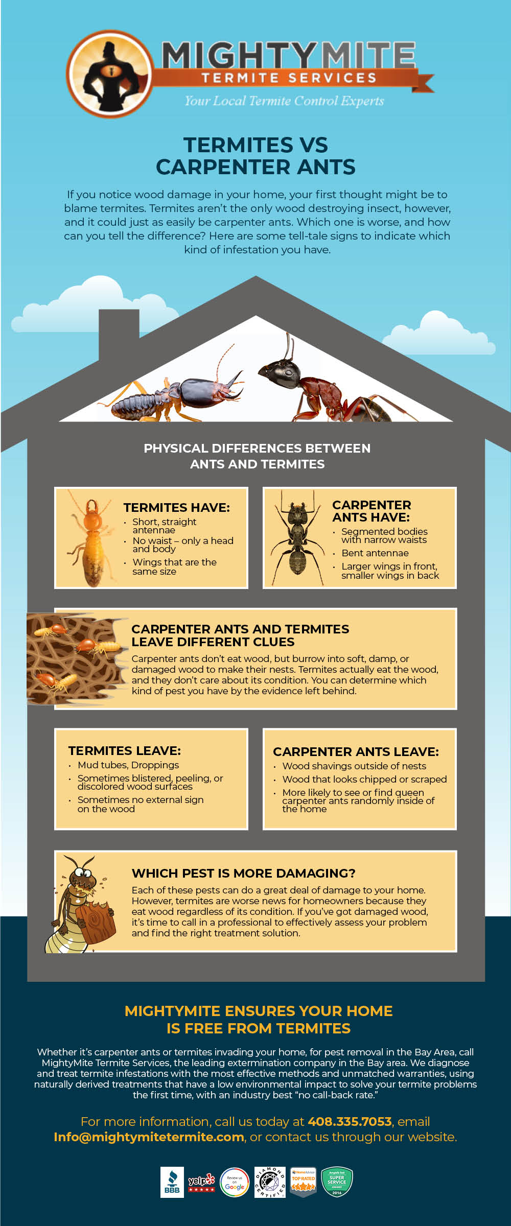 termites vs carpenter ants